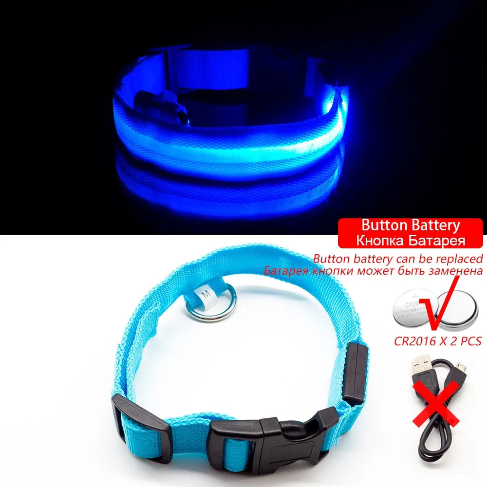 USB Charging LED Dog Collar