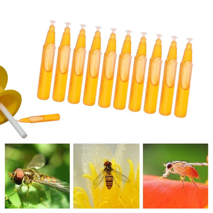 10Pcs 2ML Fruit Fly Attractant Liquid Fruit Fly Killer Drosophila Attractant For Outdoor Camping Travaling 2024New