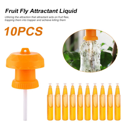 10Pcs 2ML Fruit Fly Attractant Liquid Fruit Fly Killer Drosophila Attractant For Outdoor Camping Travaling 2024New