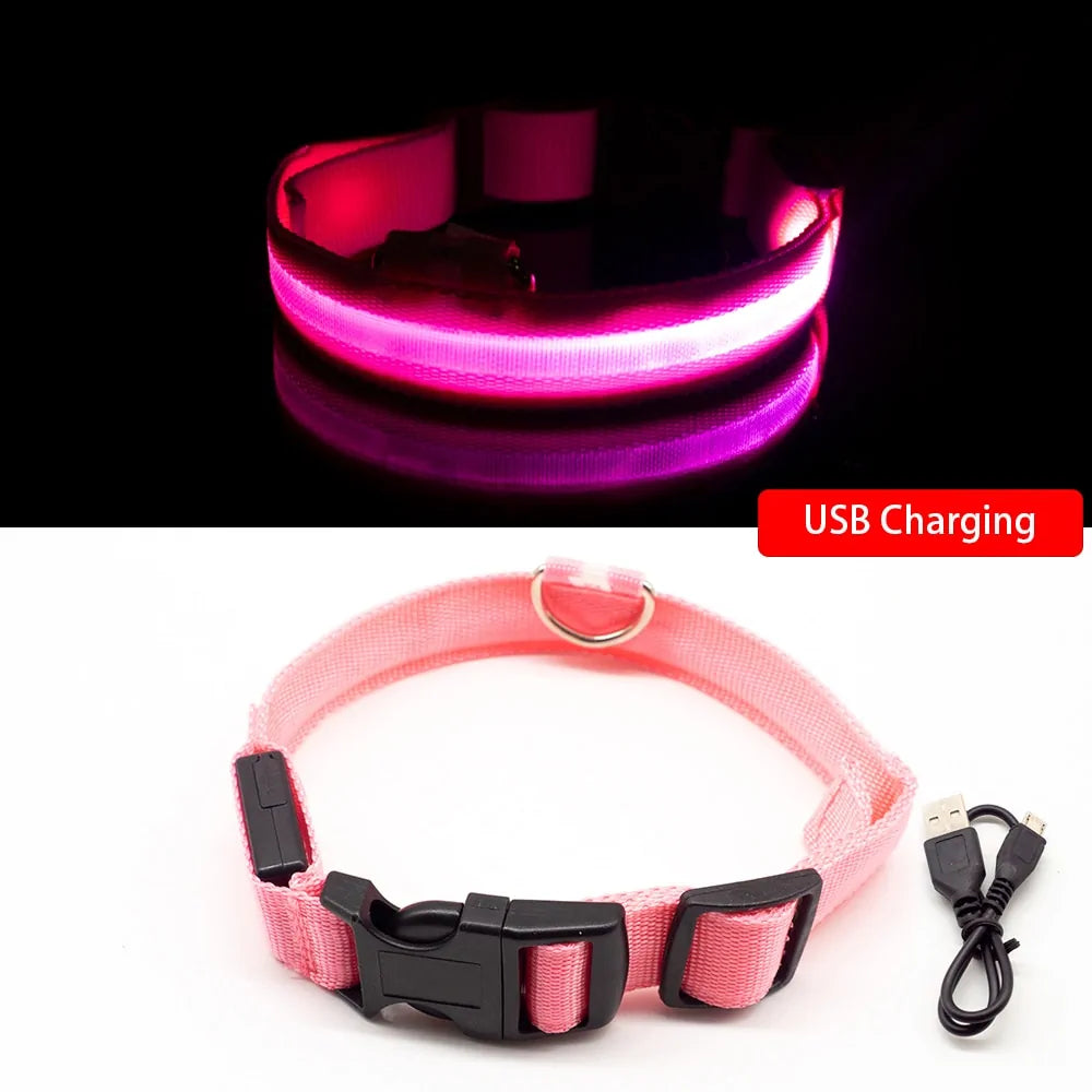 USB Charging LED Dog Collar